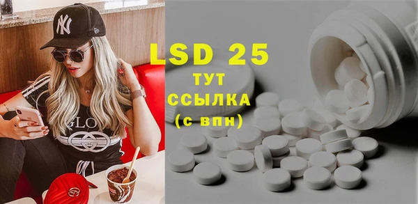сатива Елабуга
