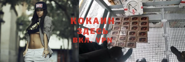каннабис Елизово