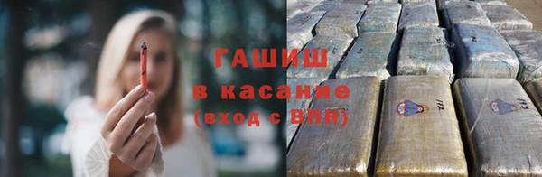 ПСИЛОЦИБИНОВЫЕ ГРИБЫ Корсаков