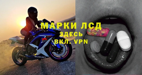 сатива Елабуга